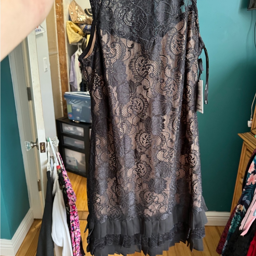 Kensie Lace dress